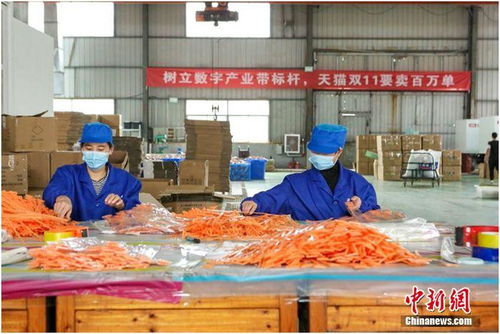 天貓雙11首日產(chǎn)業(yè)帶迎來開門紅 7個產(chǎn)地1小時銷量過億