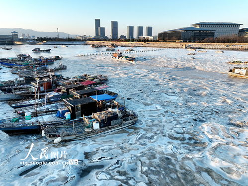 江蘇連云港強寒潮來襲，海岸現大面積冰凌奇觀